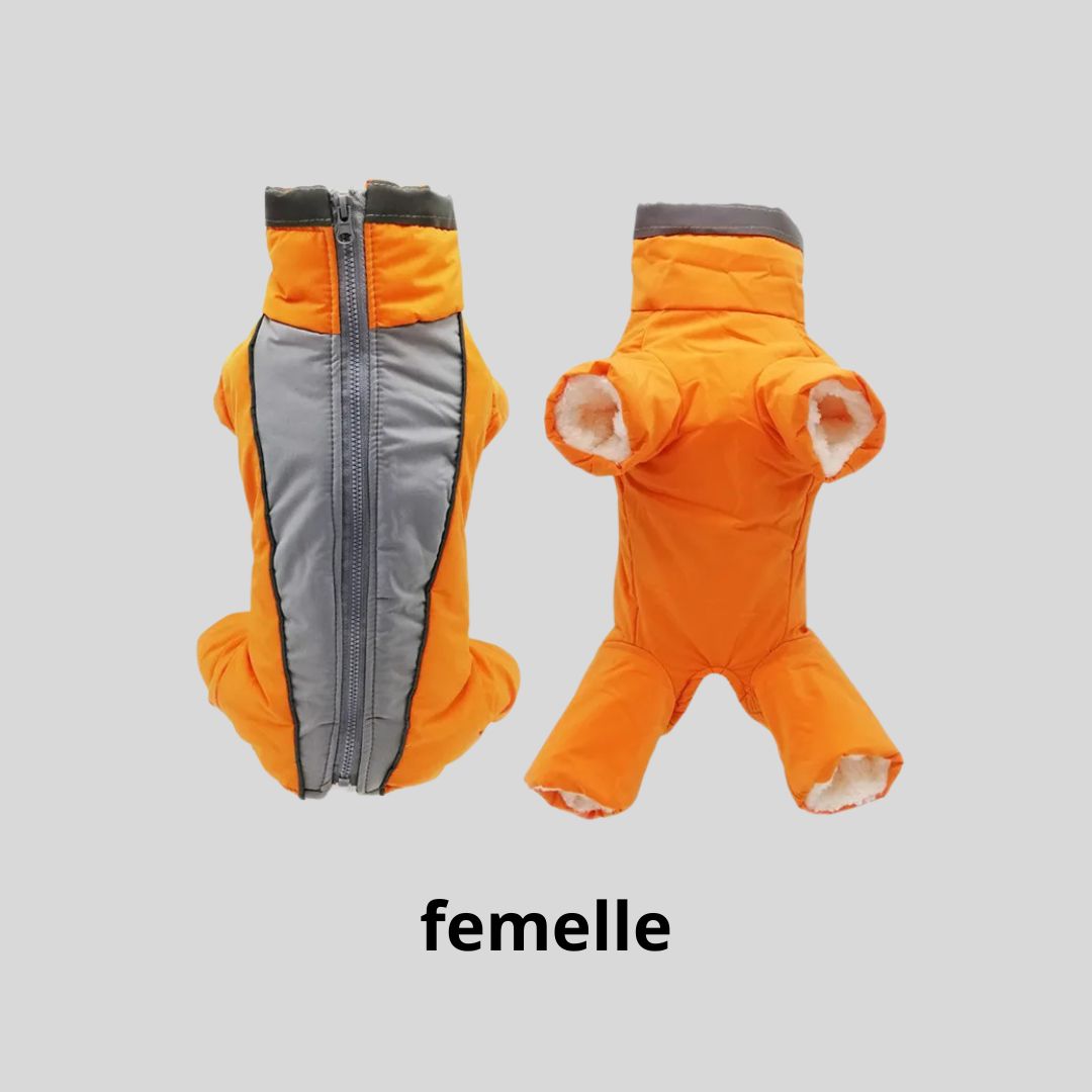 manteau pour chien|combi™