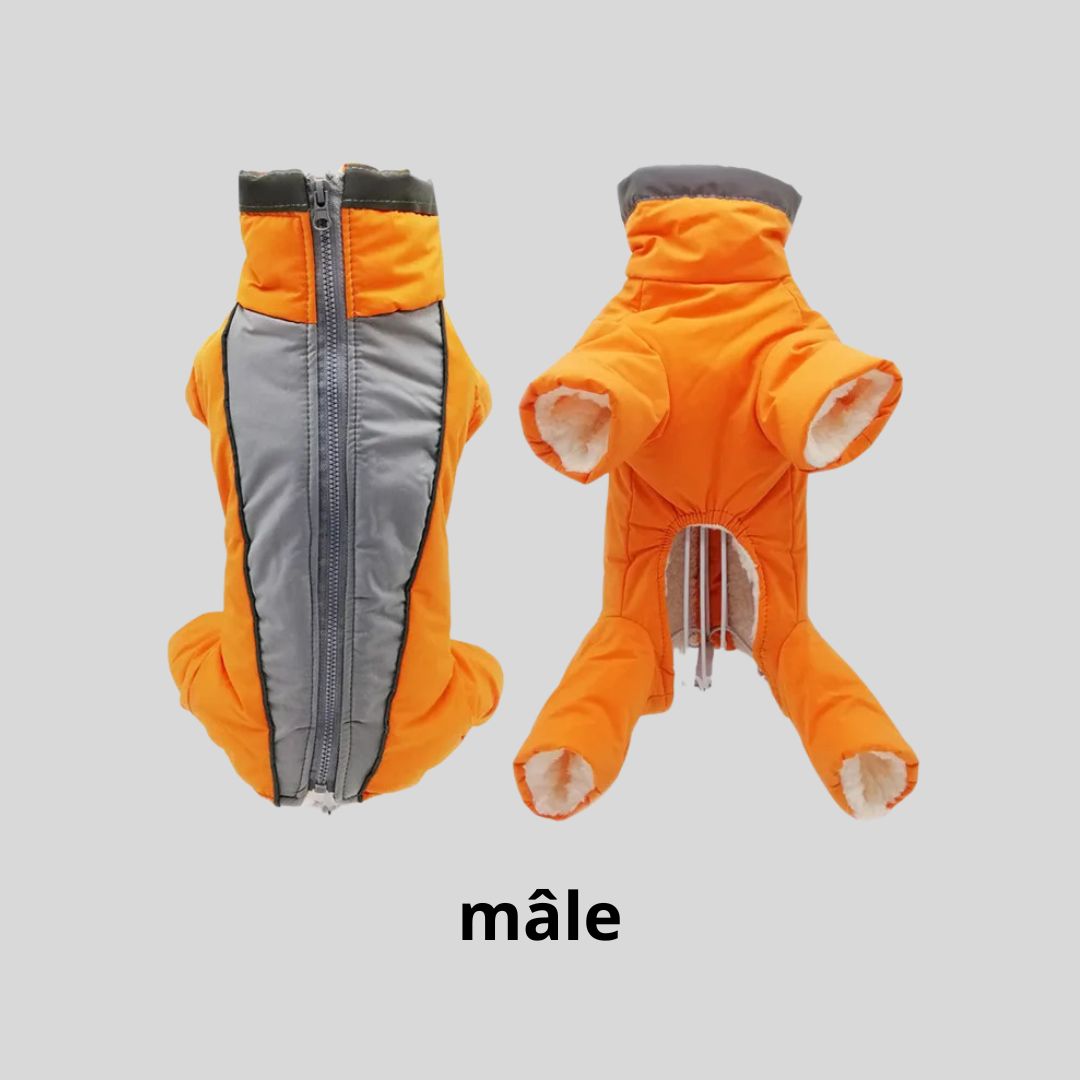 manteau pour chien|combi™