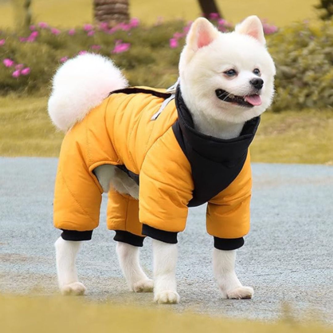 manteau pour chien|combi™