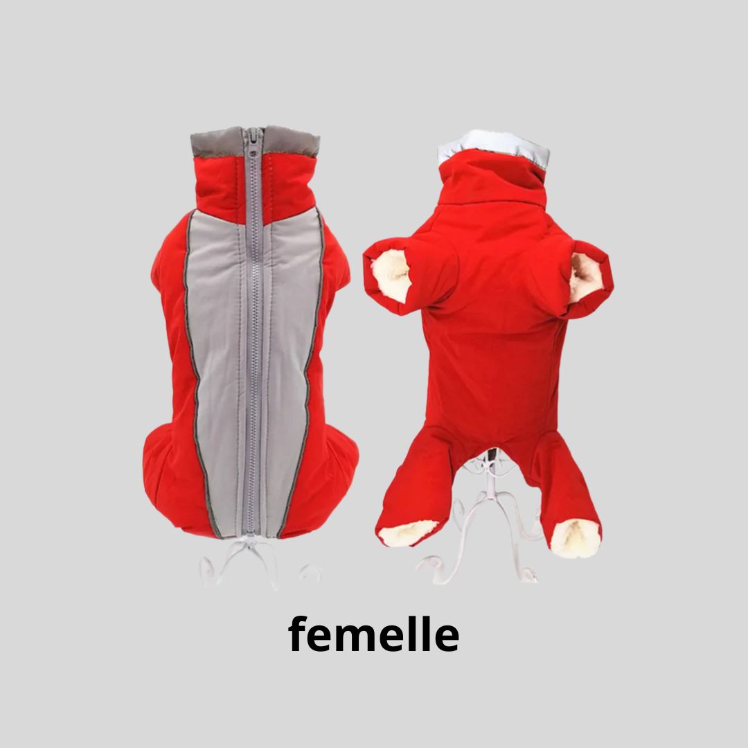 manteau pour chien|combi™