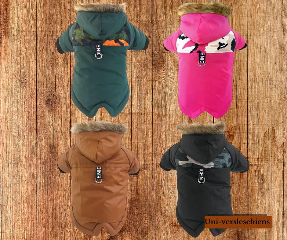 vêtement-chien-JacketJones™-4-couleur