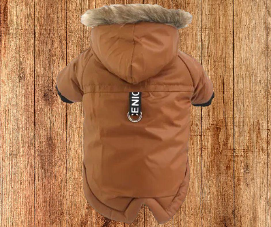 vêtement-chien-JacketJones™-marron
