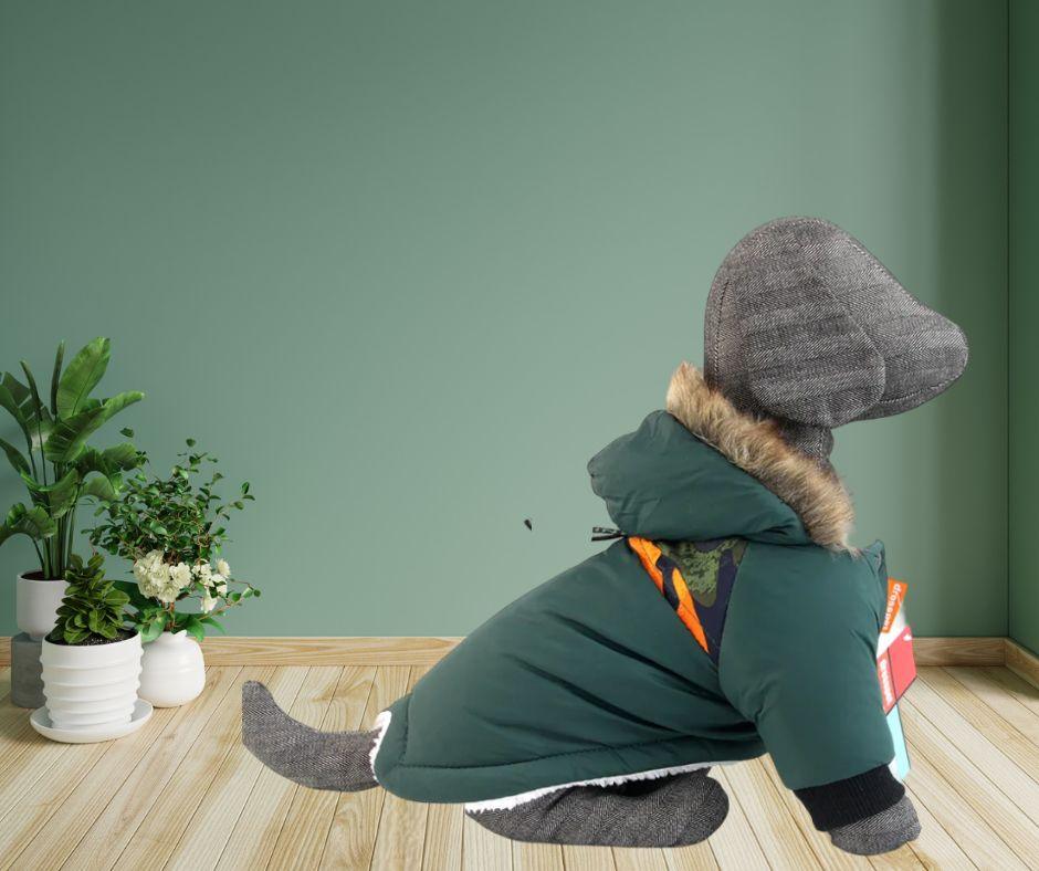 vêtement-chien-JacketJones™-profil-vert
