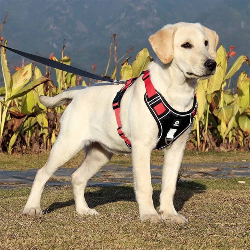 harnais-anti-traction-TOP-TRAC™-noir-rouge-labrador