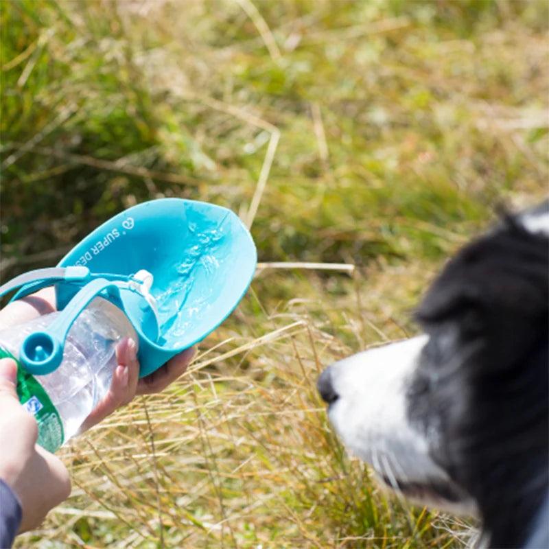 gourde-pour-chien-Bottle new™-en-action