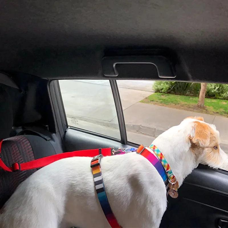 ceinture de sécurité-pour-chien-car-safety-belt™-chien-voiture