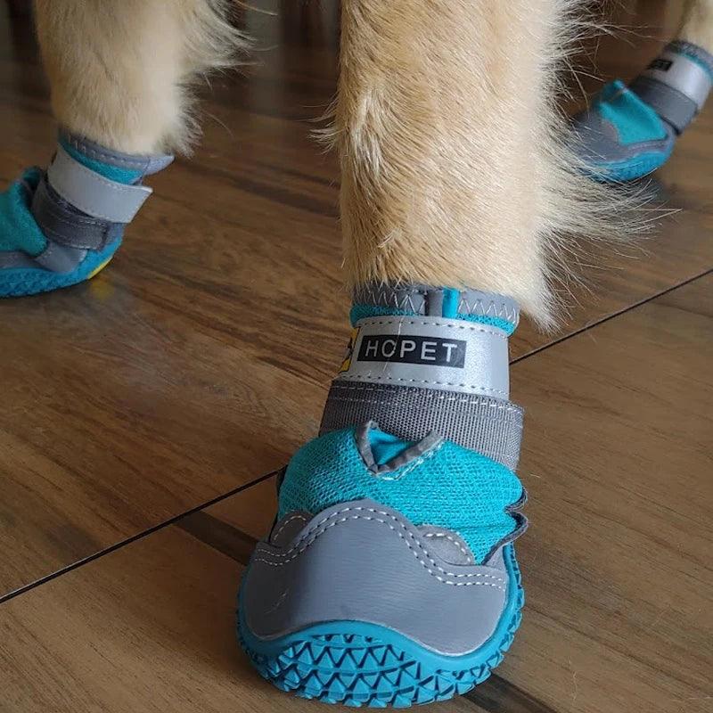 chaussure-pour-chien-hiking shoe ™-zoom-bleue-chien