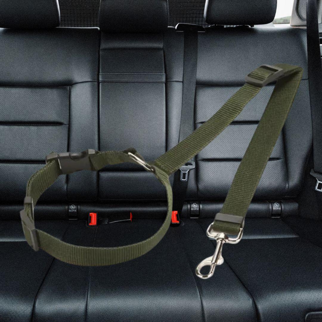 ceinture de sécurité pour chien| car safety belt™