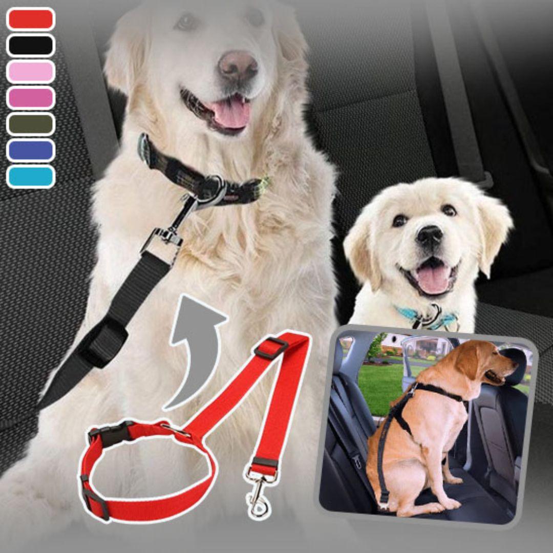 ceinture de sécurité pour chien| car safety belt™