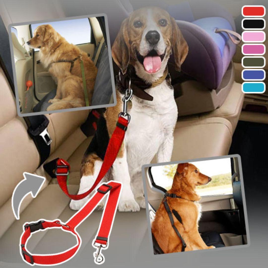 ceinture de sécurité pour chien| car safety belt™