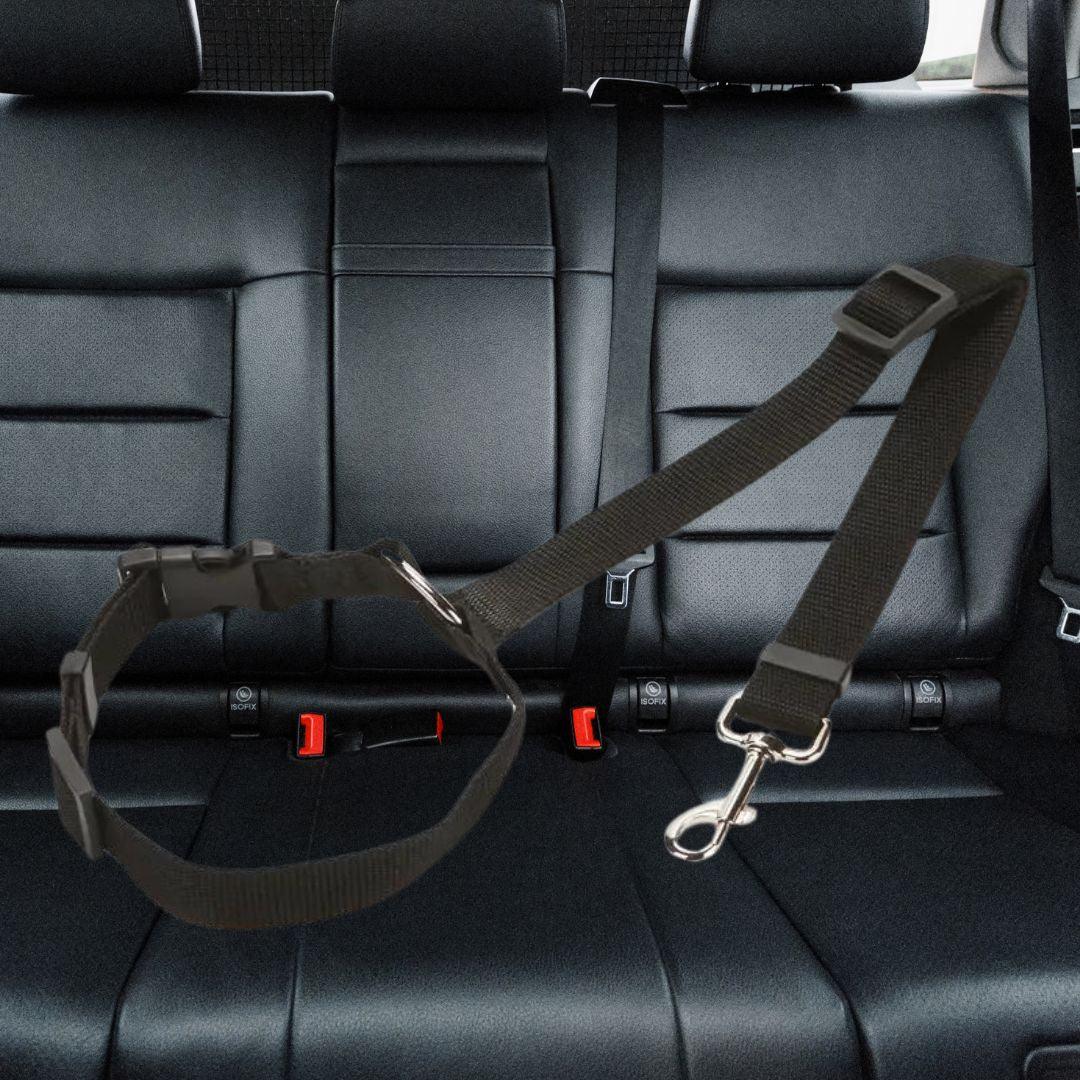 ceinture de sécurité pour chien| car safety belt™