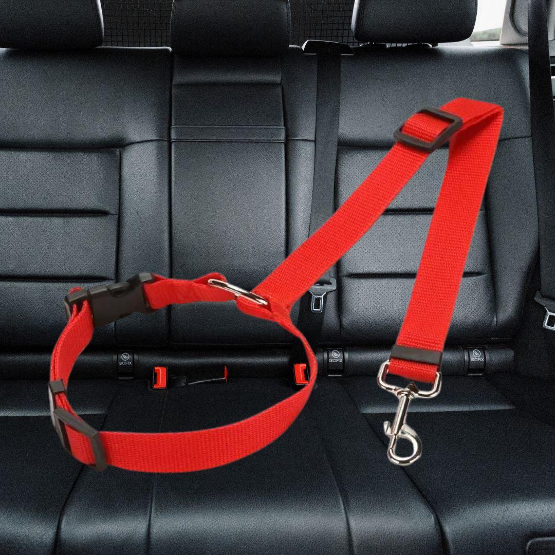 ceinture de sécurité pour chien| car safety belt™