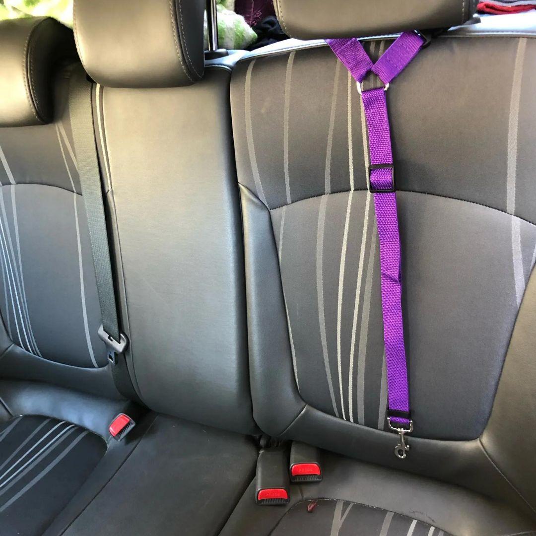 ceinture de sécurité pour chien| car safety belt™