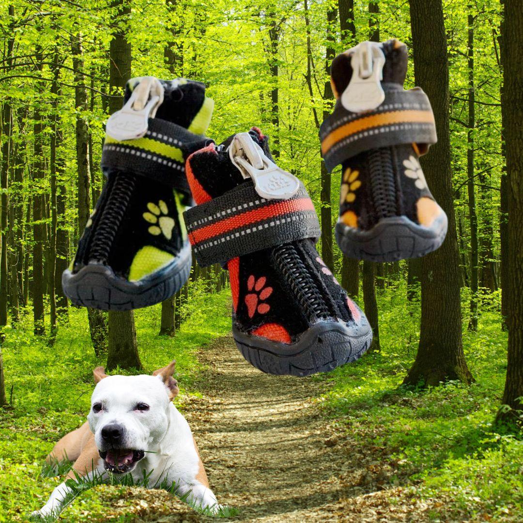 chaussure pour chien| Stylish™