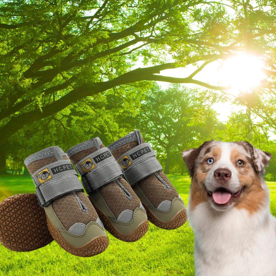 chaussure pour chien | hiking shoe ™