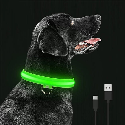 collier lumineux pour chien|light sécure ™