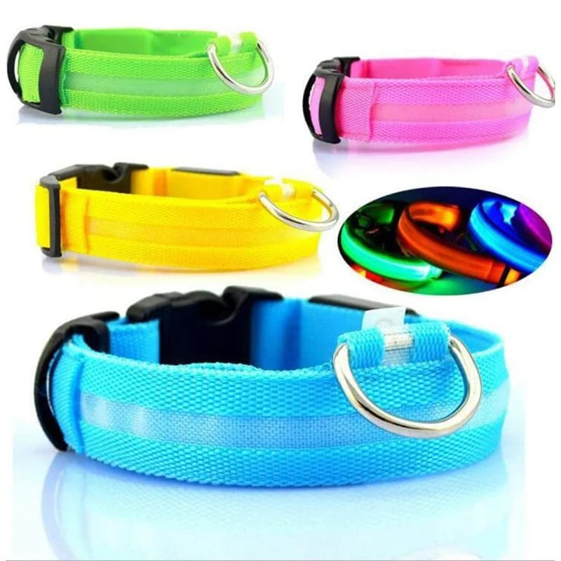 collier lumineux pour chien|light sécure ™