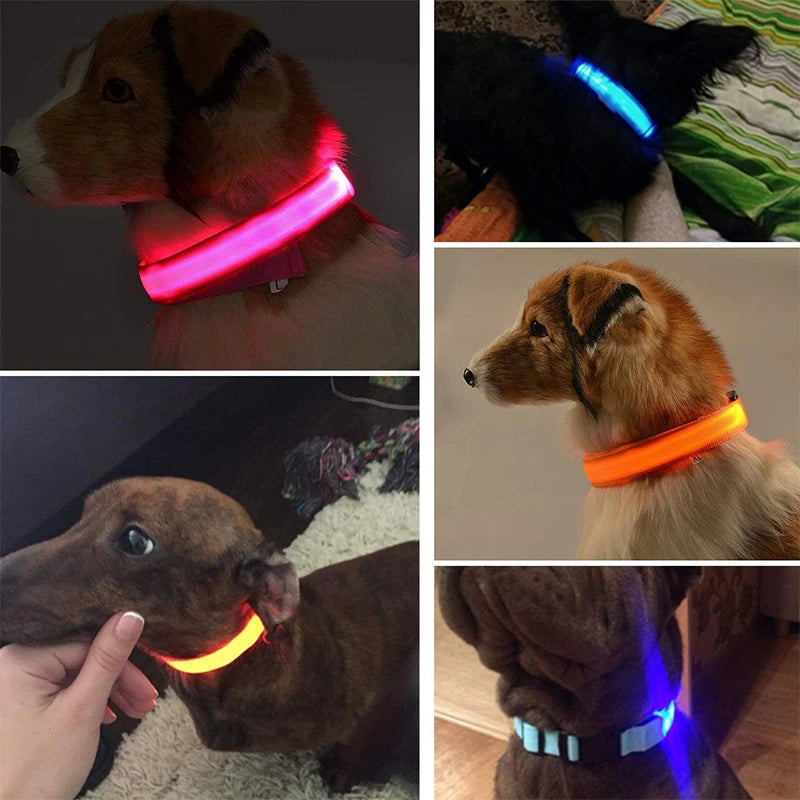 collier lumineux pour chien|light sécure ™