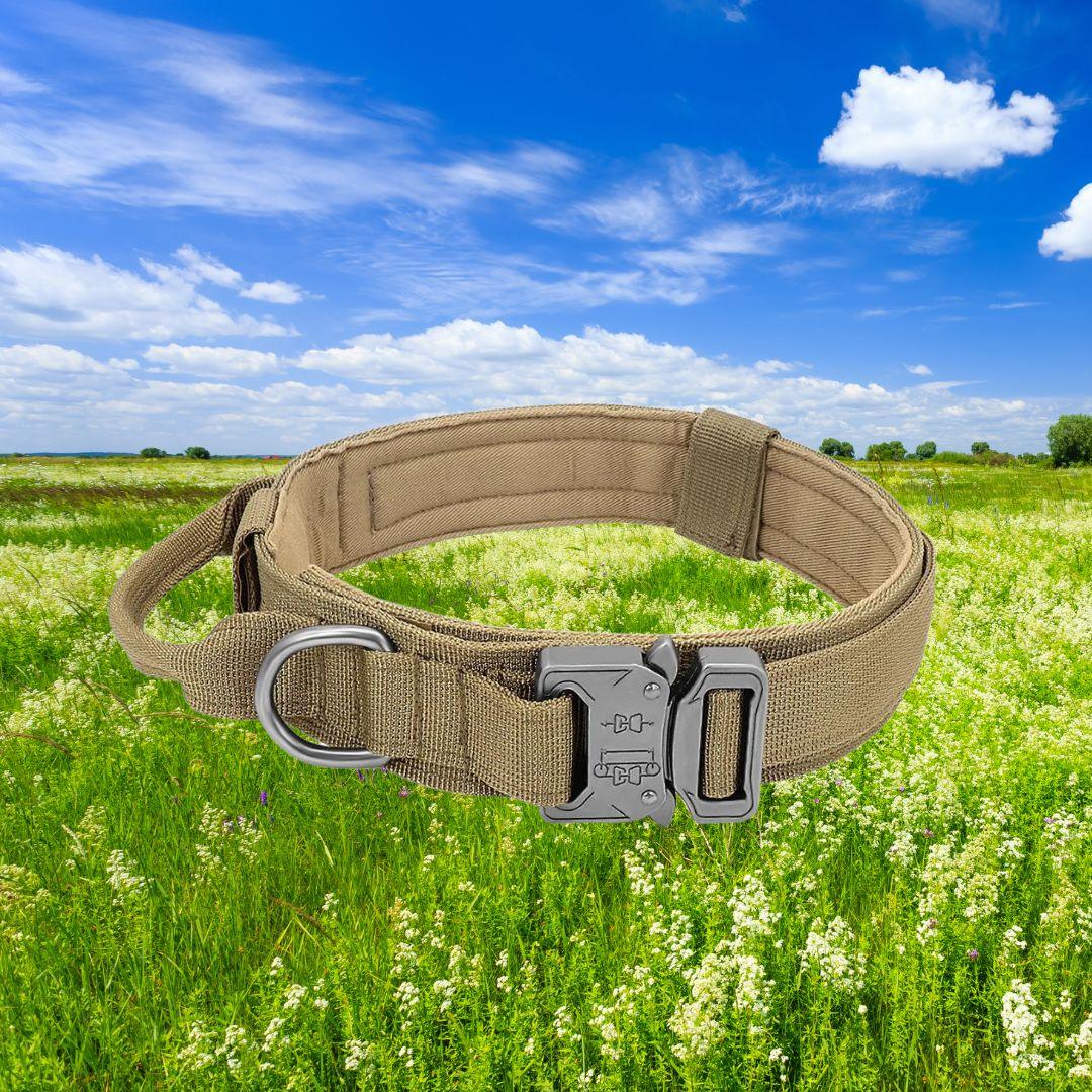 collier pour chien| strong security™