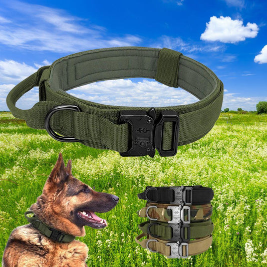 collier pour chien| strong security™