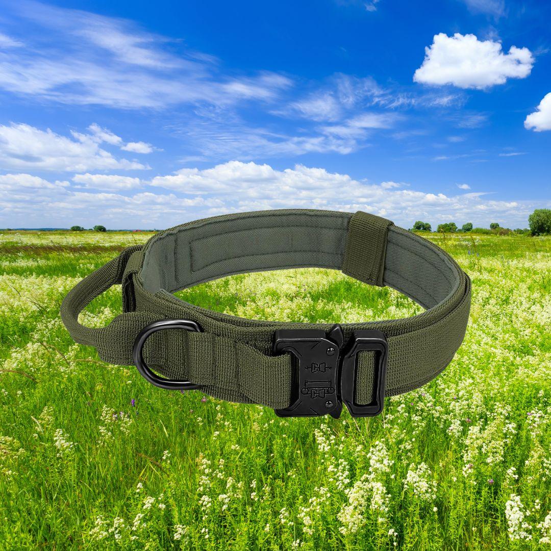 collier pour chien| strong security™