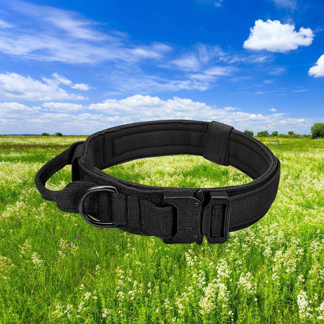 collier pour chien| strong security™