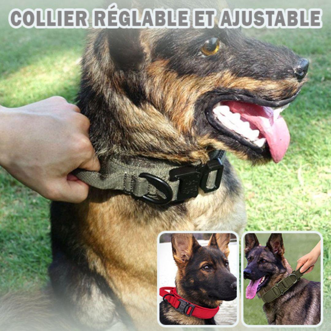 collier pour chien| strong security™