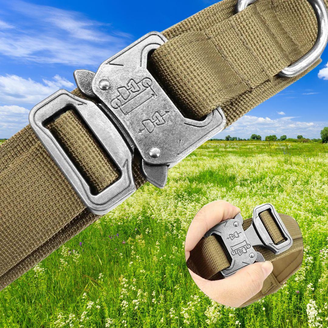 collier pour chien| strong security™