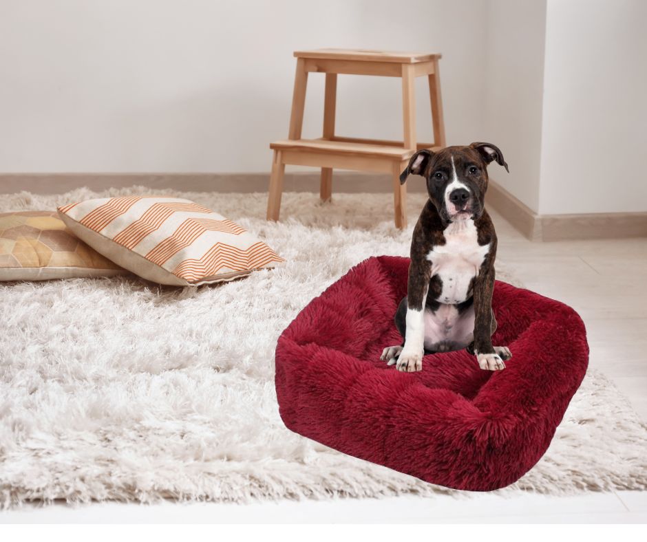 panier-pour-chien-poufdog™-chien rouge