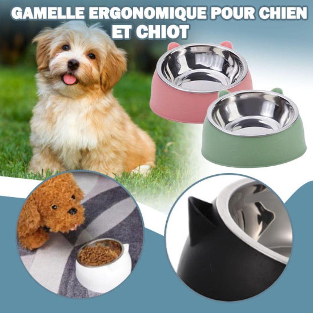 gamelle pour chien| Bowl Raise ™