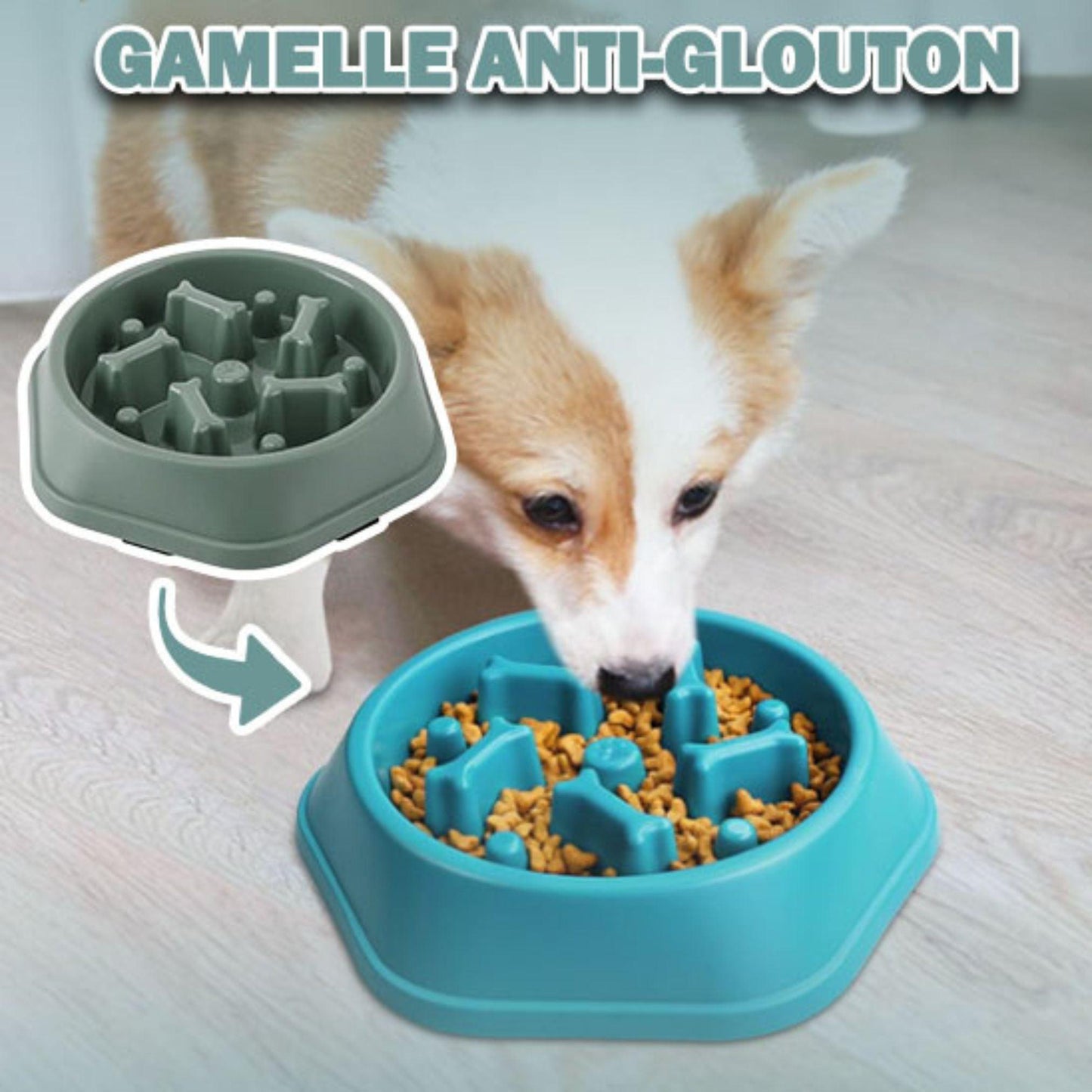 gamelle pour chien| Eat Slowly ™