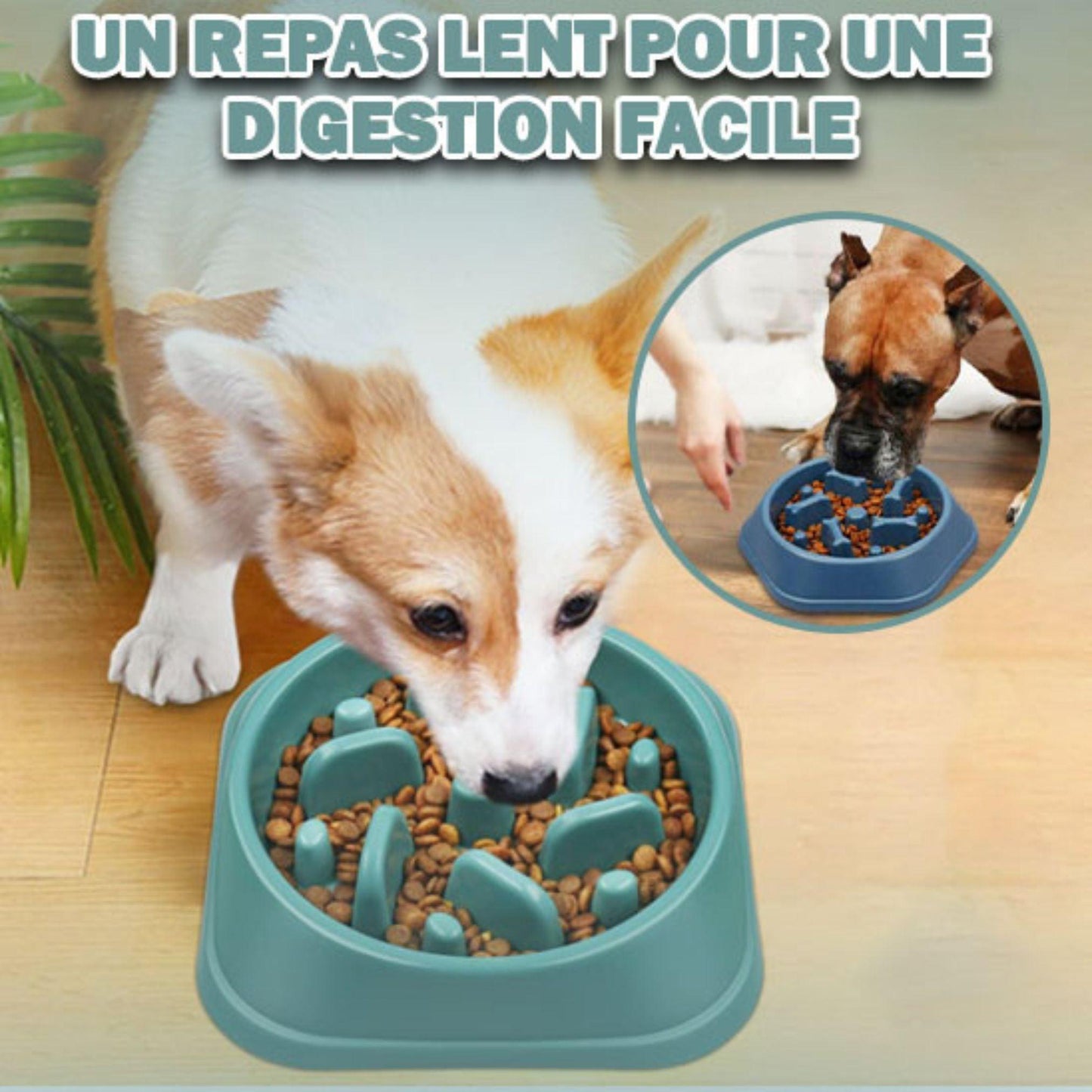 gamelle pour chien| Eat Slowly ™