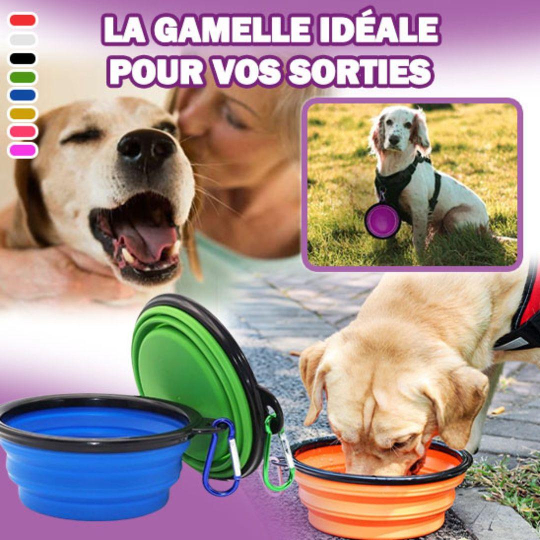 gamelle pour chien | Foldable™