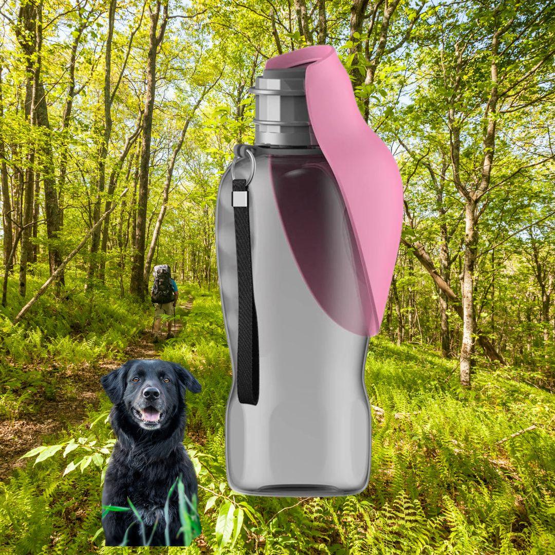 gourde pour chien| Bottle new™