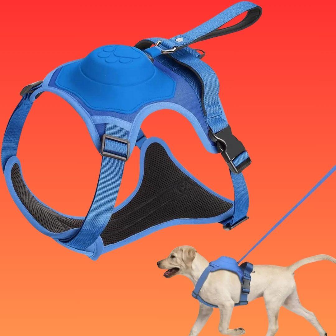 harnais chien| Dorsal Leash ™