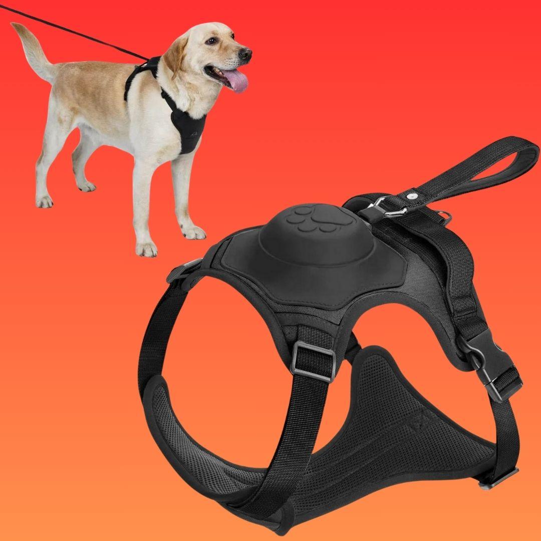 harnais chien| Dorsal Leash ™