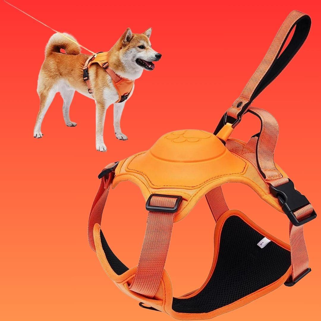 harnais chien| Dorsal Leash ™