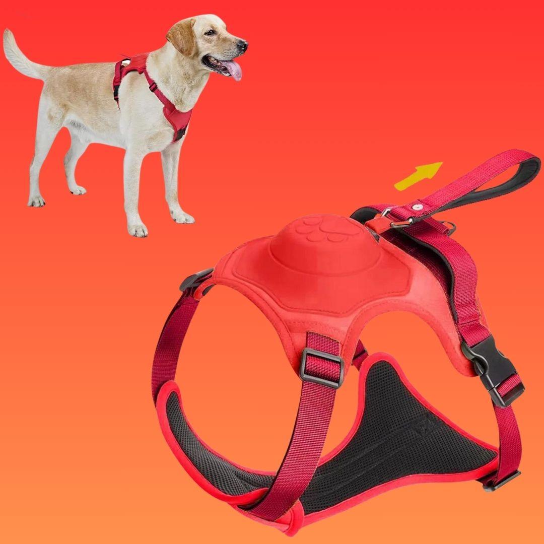 harnais chien| Dorsal Leash ™