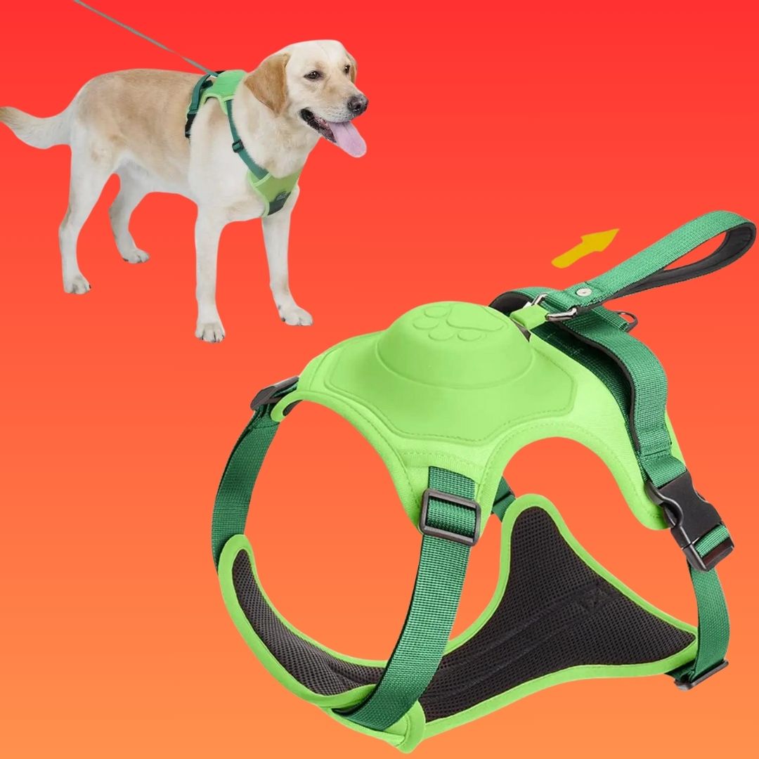 harnais chien| Dorsal Leash ™