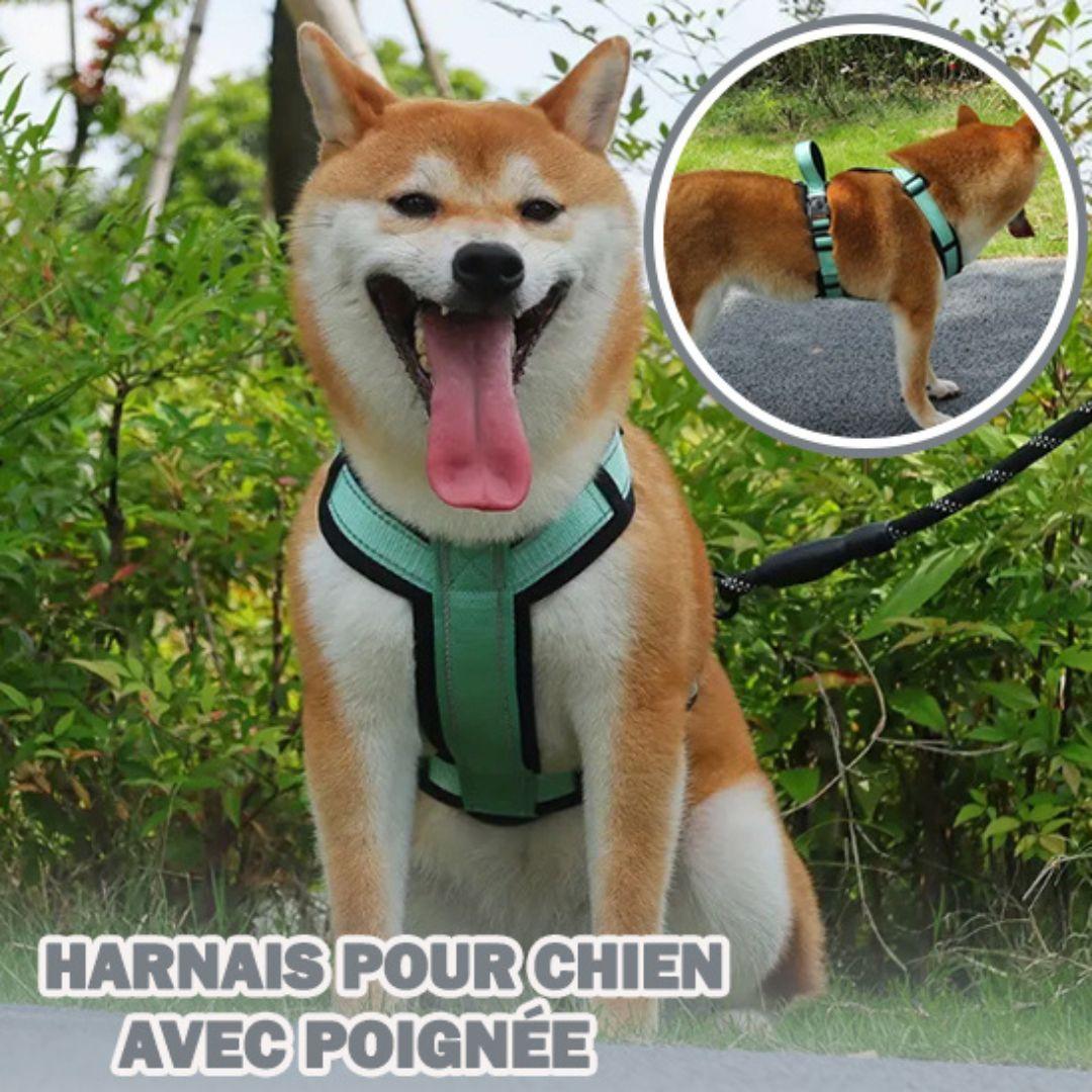 harnais chien | soft strap™