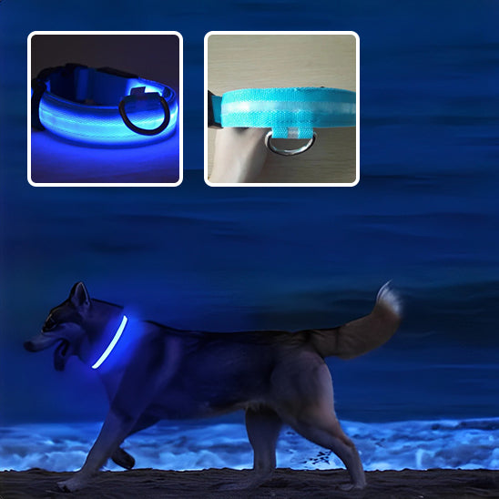 collier lumineux pour chien|light sécure ™