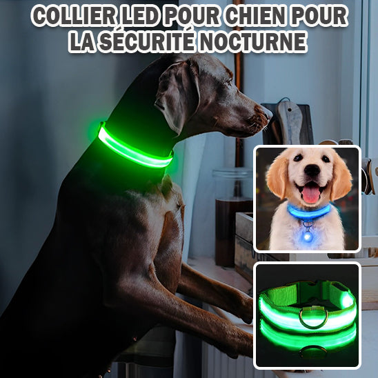 collier lumineux pour chien|light sécure ™