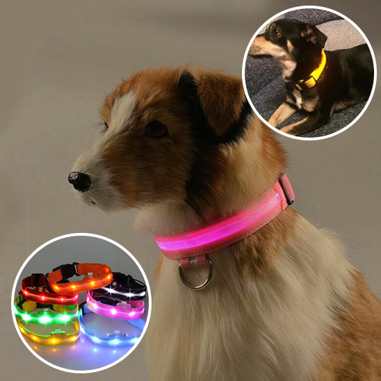 collier lumineux pour chien|light sécure ™