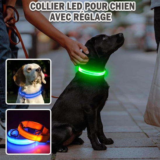 collier lumineux pour chien|light sécure ™