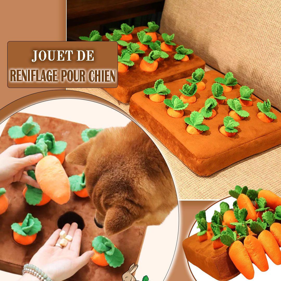 jouet pour chien | Dogarden ™