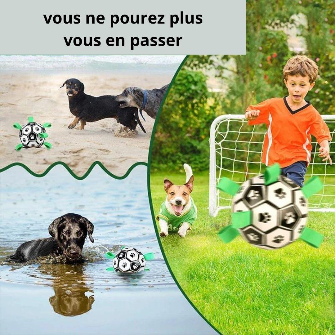 jouet pour chien| Ball strap ™