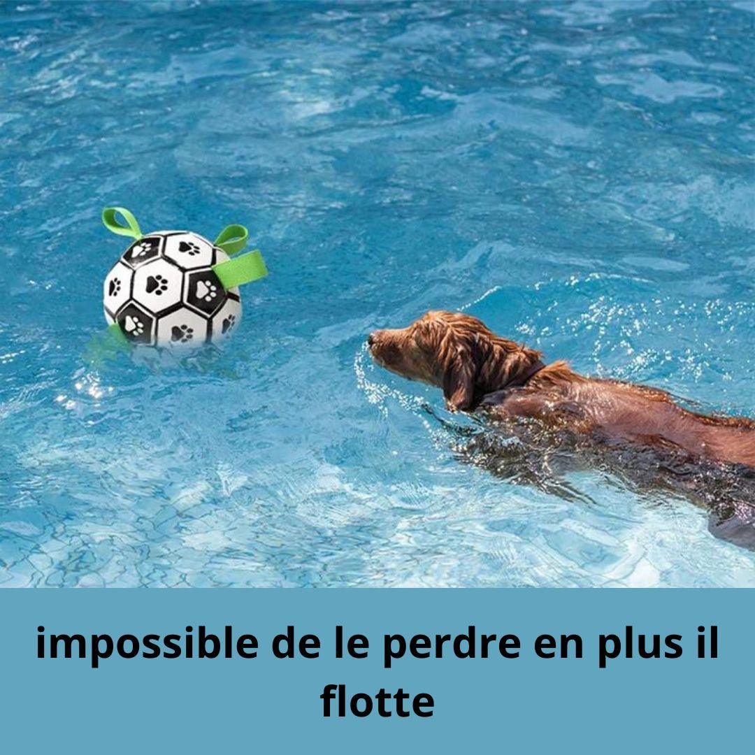 jouet pour chien| Ball strap ™