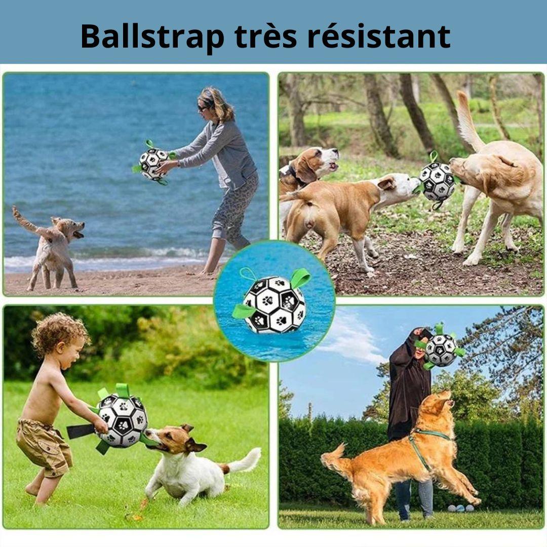 jouet pour chien| Ball strap ™