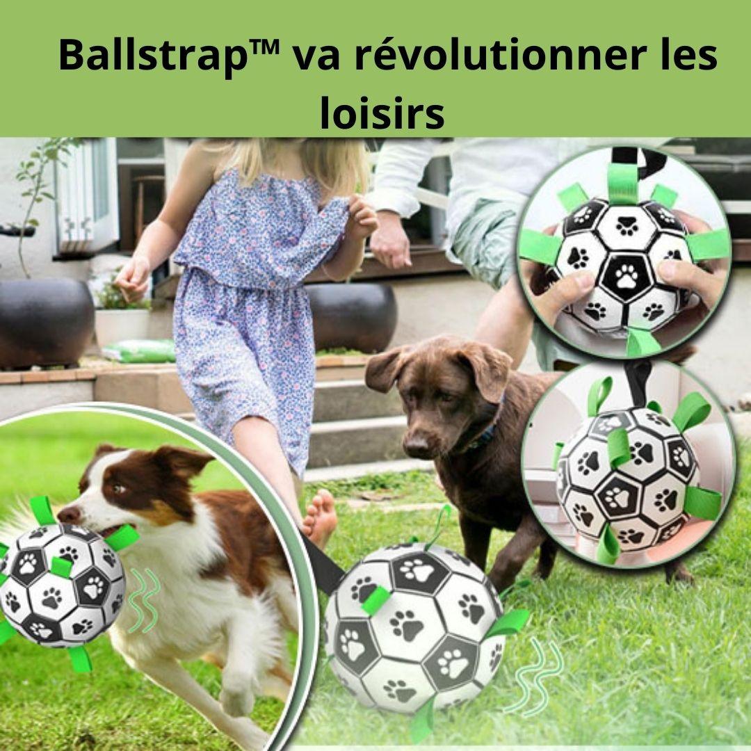 jouet pour chien| Ball strap ™