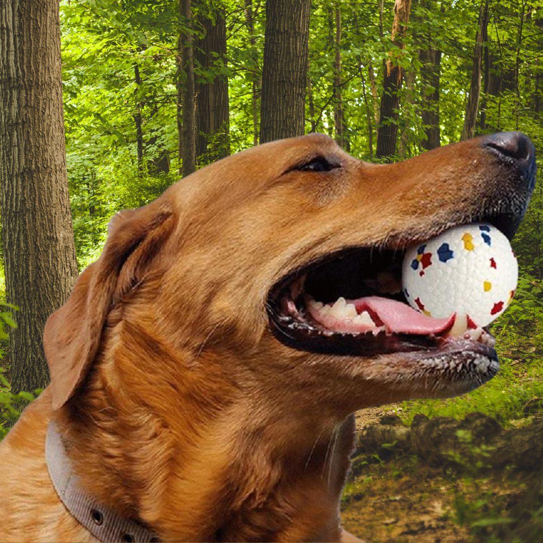 jouet pour chien| Chew ball ™